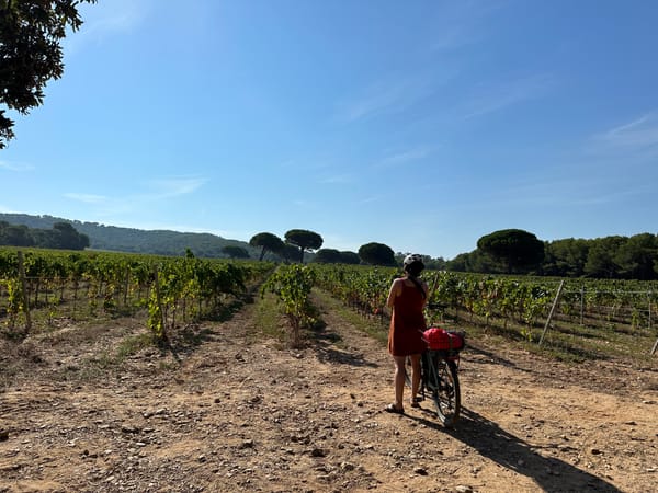 The Secret Side of Provence - Hyères